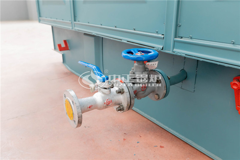 10T燃?xì)庹羝仩t貴嗎