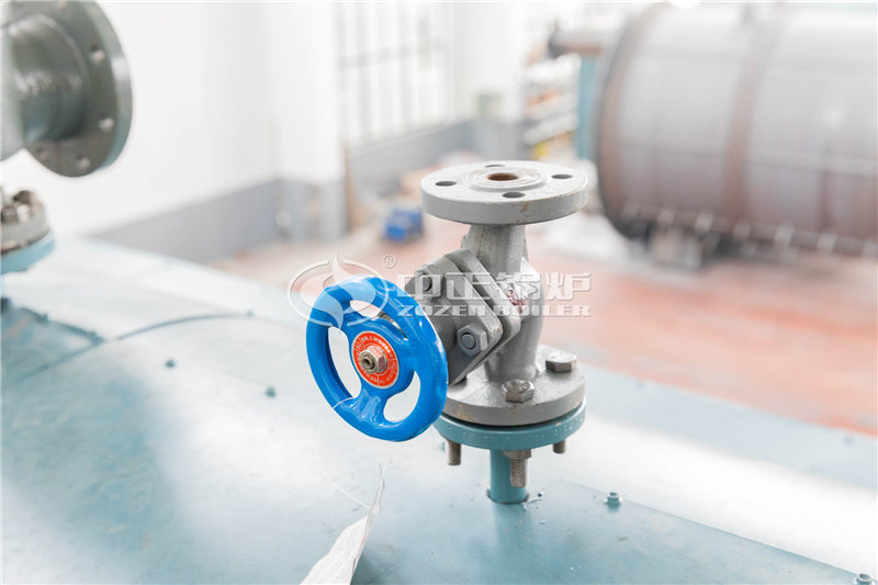 4噸天然氣蒸汽鍋爐多少錢(qián)