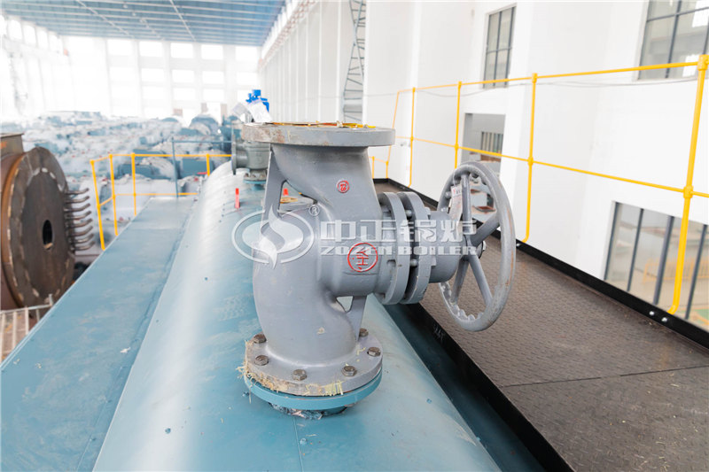 WNS燃?xì)庹羝仩t品牌