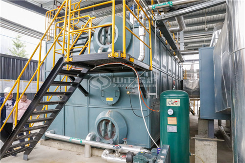 一臺(tái)十五噸燃?xì)庹羝仩t價(jià)格貴嗎