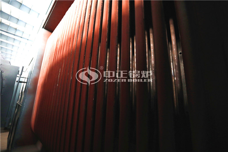 一臺(tái)6T燃?xì)忮仩t貴嗎