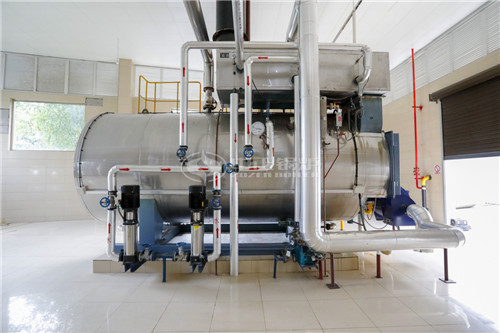 一臺(tái)30噸燃?xì)庹羝仩t多少錢(qián)能買(mǎi)到